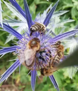 Pat 02 Druk druk druk